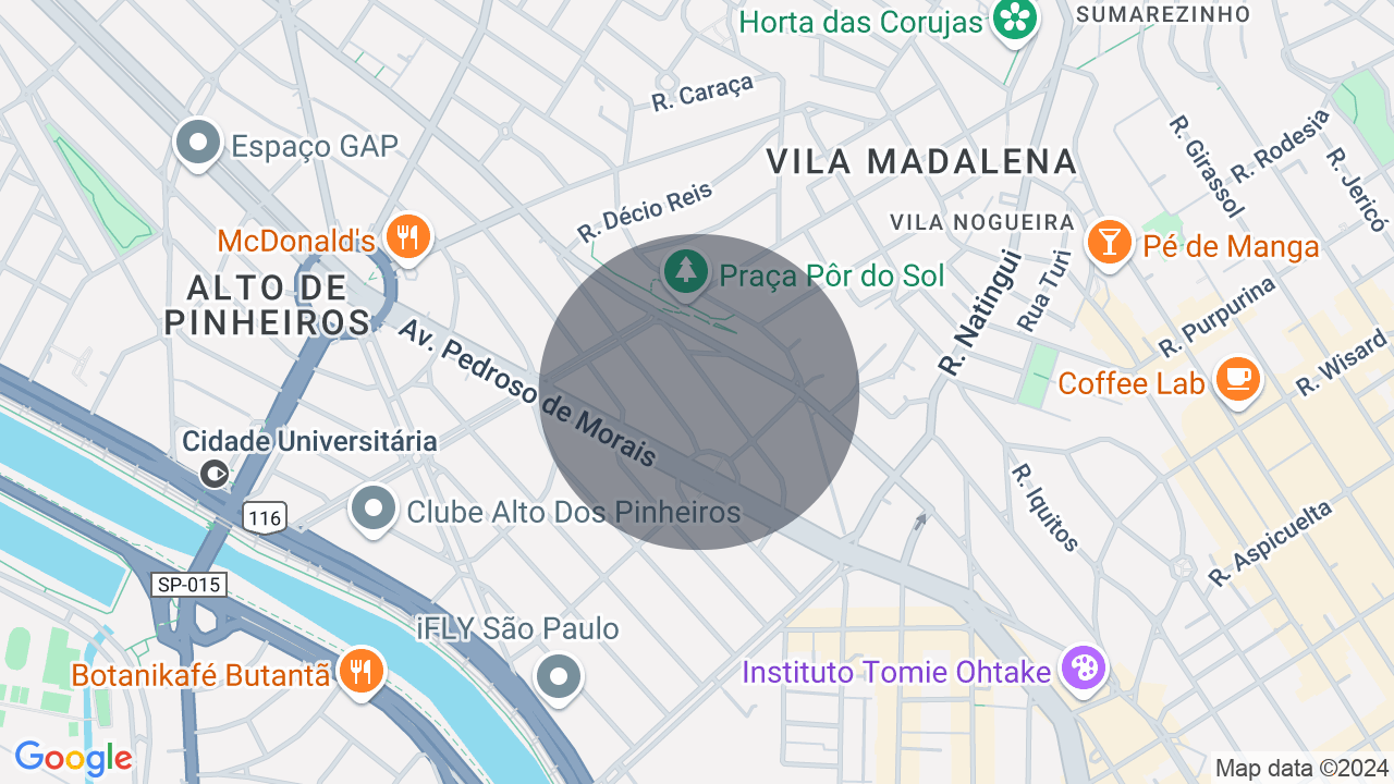 Mapa da localização — Pinheiros, São Paulo