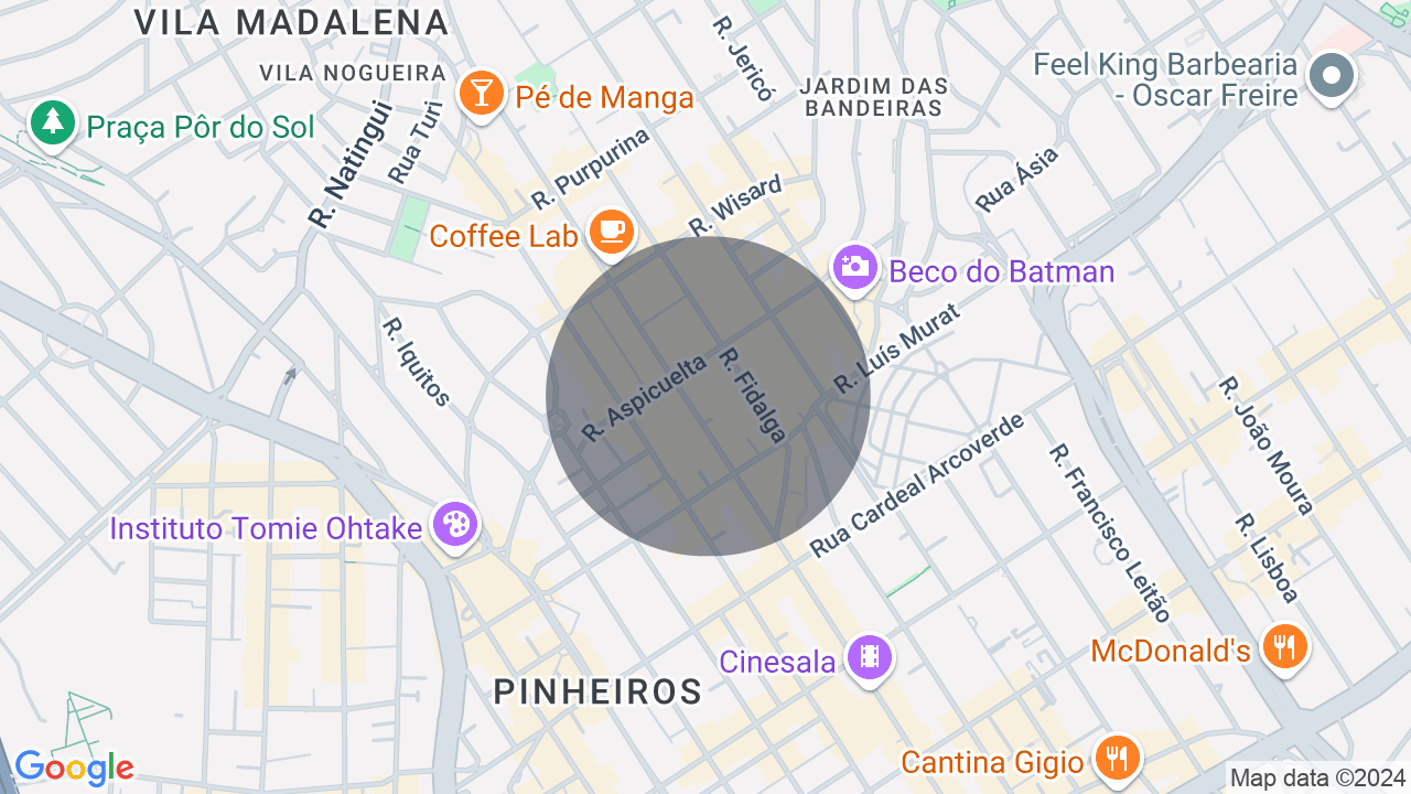 Mapa da localização — Pinheiros, São Paulo
