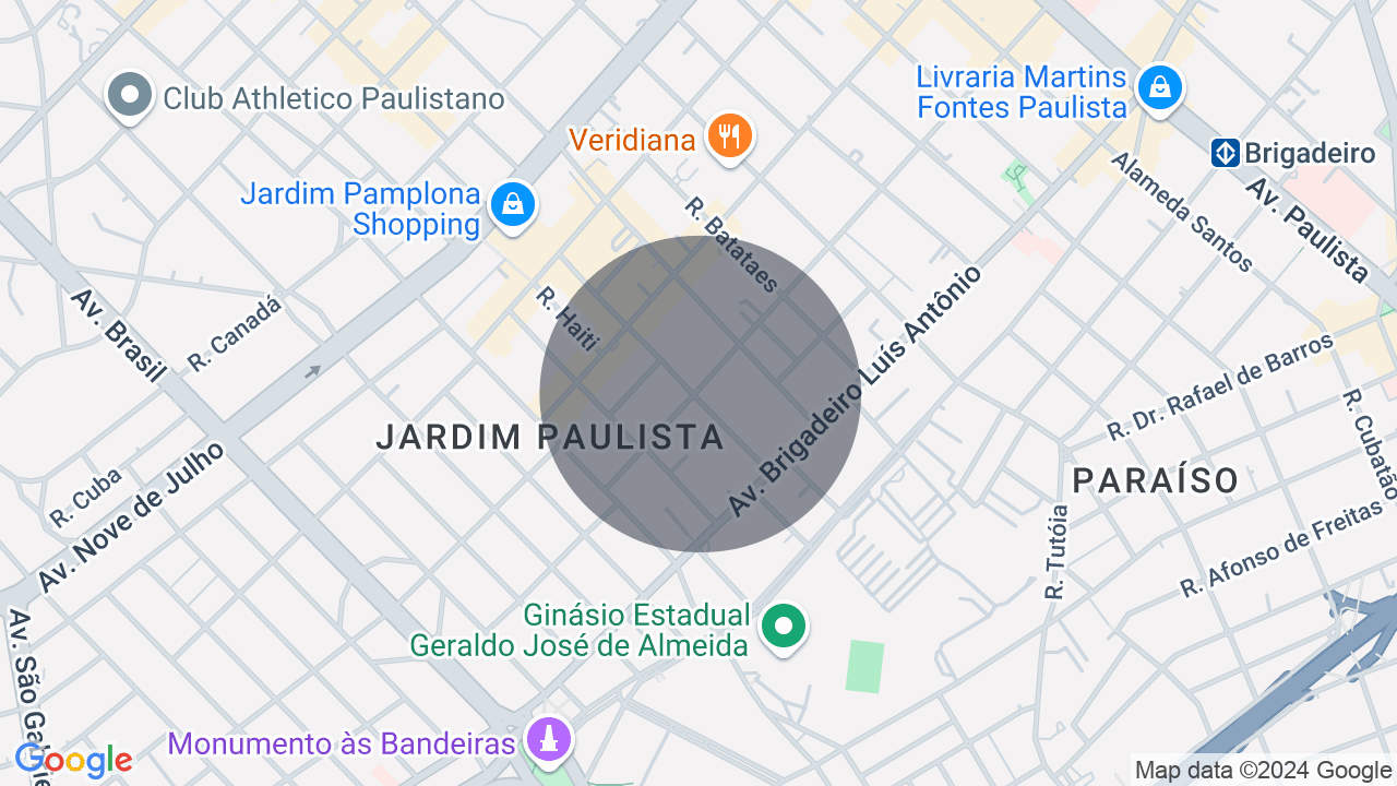 Lindenberg com vista para o Ibirapuera