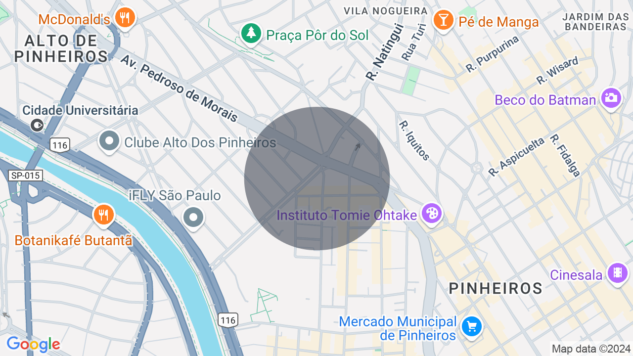 Luxuoso Apartamento com Vista Definitiva para o Verde no Alto de Pinheiros